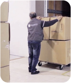 Shipping